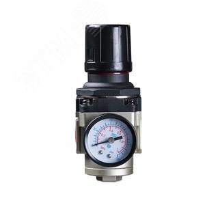 Изображение товара Регулятор R 3000 1/4'' (шт)