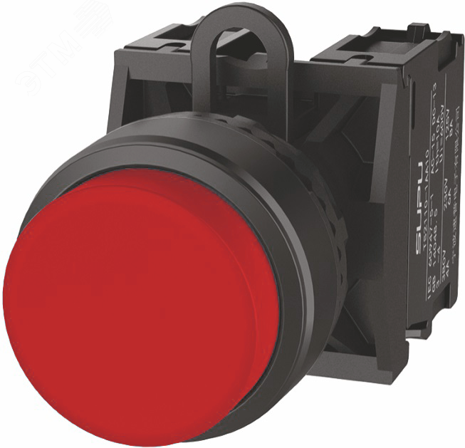 Изображение товара Кнопка TS2 SUPU TS2010-0BM10 красная 22 мм IP67 Изображение товара Кнопка TS2 SUPU TS2010-0BM10 красная 22 мм IP67