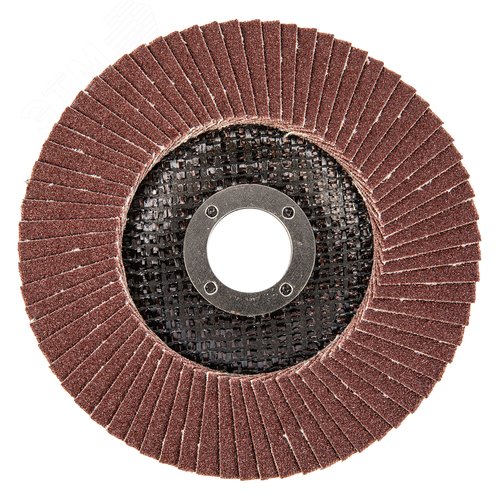 Круг лепестковый торцевой, P 100, 125 х 22,2 мм - фото 2
