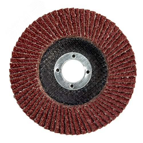 Круг лепестковый торцевой, P 60, 125 х 22,2 мм - фото 3