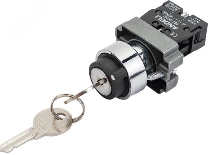 Изображение товара Переключатель ANDELI XB2-BG21 черный 2 положения с ключом 1НО Изображение товара Переключатель ANDELI XB2-BG21 черный 2 положения с ключом 1НО