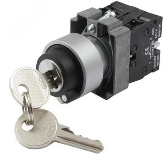 Изображение товара Переключатель XB2-BG33 черный 3 положения с ключом ANDELI IP40 380В 6А Изображение товара Переключатель XB2-BG33 черный 3 положения с ключом ANDELI IP40 380В 6А