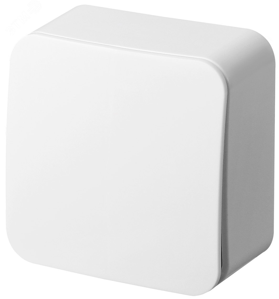 Изображение товара Выключатель кнопочный 1кл накладного монтажа цвет белый 10A 250В (шт)