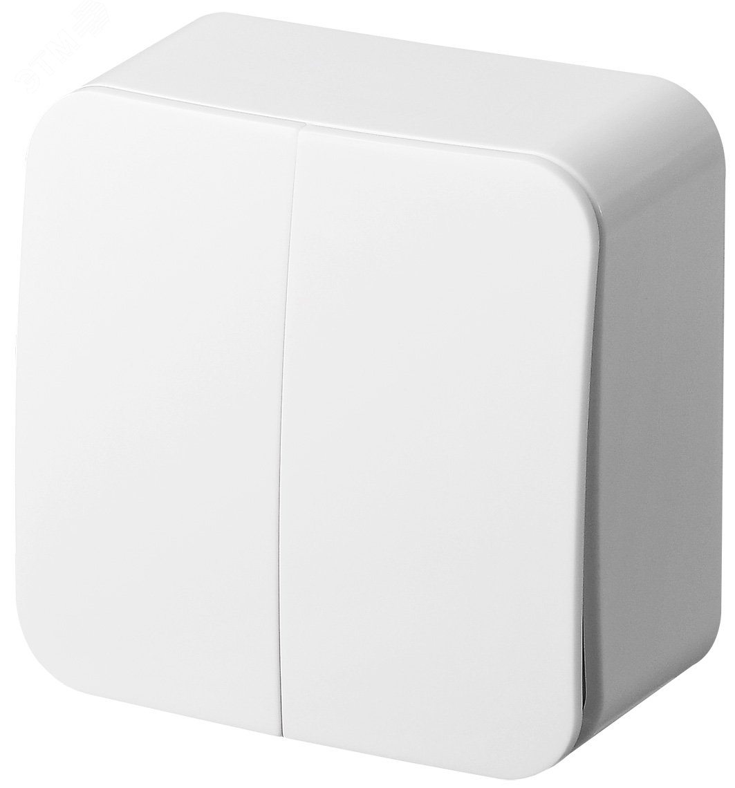 Изображение товара Выключатель двухклавишный проходной накладного монтажа цвет белый 6+6 10AX 250В (шт)