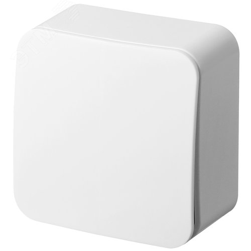 Изображение товара Выключатель одноклавишный накладного монтажа цвет белый 10AX 250В (шт)