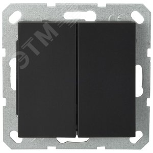 Изображение товара Выключатель двухклавишный 10A 250V~ с накладкой, цвет черный матовый (soft touch) (шт)