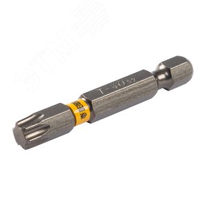 Набор бит TORX 40х50, сталь S2, шестигранный профиль, 10 шт. - фото 2