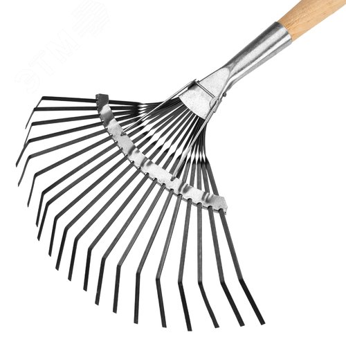 Грабли веерные стальные, 385х1450 мм, 20 плоских зубьев, деревянный черенок, Россия - фото 2