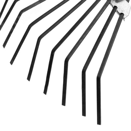 Грабли веерные стальные, 385х1450 мм, 20 плоских зубьев, деревянный черенок, Россия - фото 3