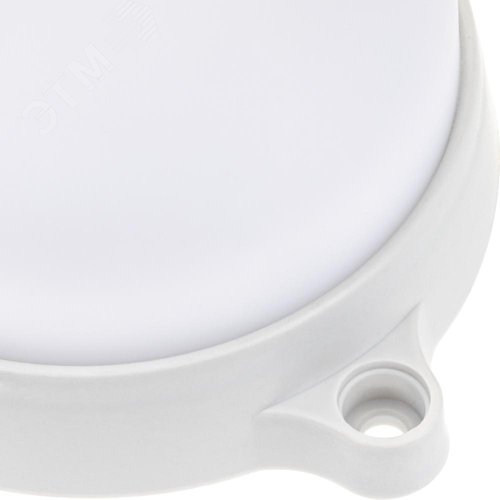 Светильник накладной, светодиодный, влагозащищенный, OVAL, 158х65х41мм, 12Вт, 4000К, 1020Лм, IP65 - фото 4