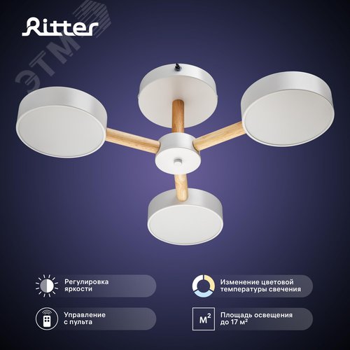 Люстра потолочная светодиодная диммируемая, SCANDIA, с ДУ, 3 режима, 520х520х170мм, 45Вт, 2700К/4200К/6400К, 17м, белый/дерево - фото 2