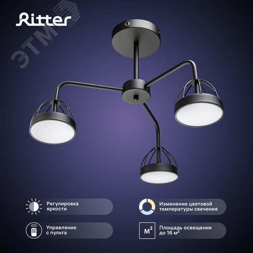 Люстра потолочная светодиодная диммируемая, MATTINO, с ДУ, 3 режима, 480х430х380мм, 48Вт, 2700К/4200К/6400К, 16м, черный - фото 2