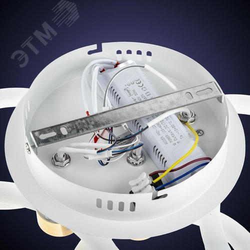 Люстра потолочная светодиодная диммируемая, OTTIMO, Алиса, с ДУ, 3 режима, 615х415х130мм, 100Вт, 2700K+6400K/4200K/6400K+2700K, 45м, белый/золото - фото 7