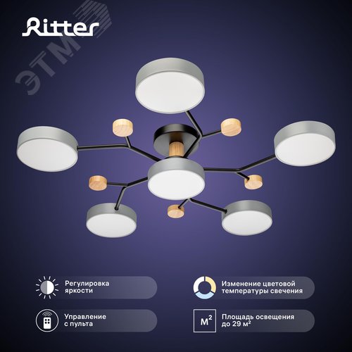 Люстра потолочная светодиодная диммируемая, SCANDIA, с ДУ, 3 режима, 970x970x60мм, 84Вт, 2700K/4200K/6400K, 29м, серый/черный/дерево - фото 2