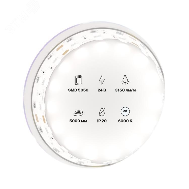 Изображение товара Лента светодиодная 24В 5050 28,8Вт/м 6000K 5м IP20 15мм (шт)