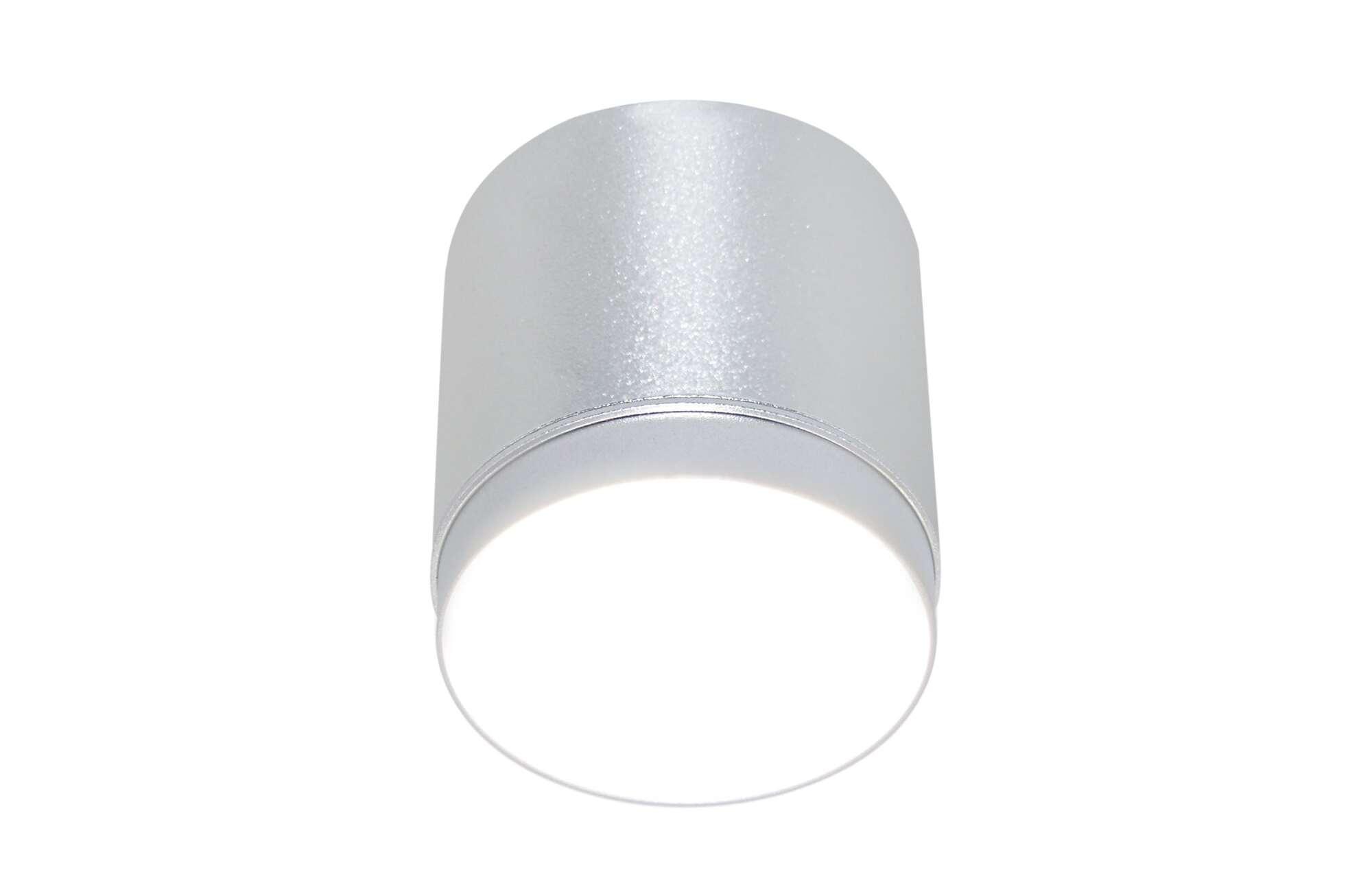 Светильник потолочный Polar GX53х1 Серебро