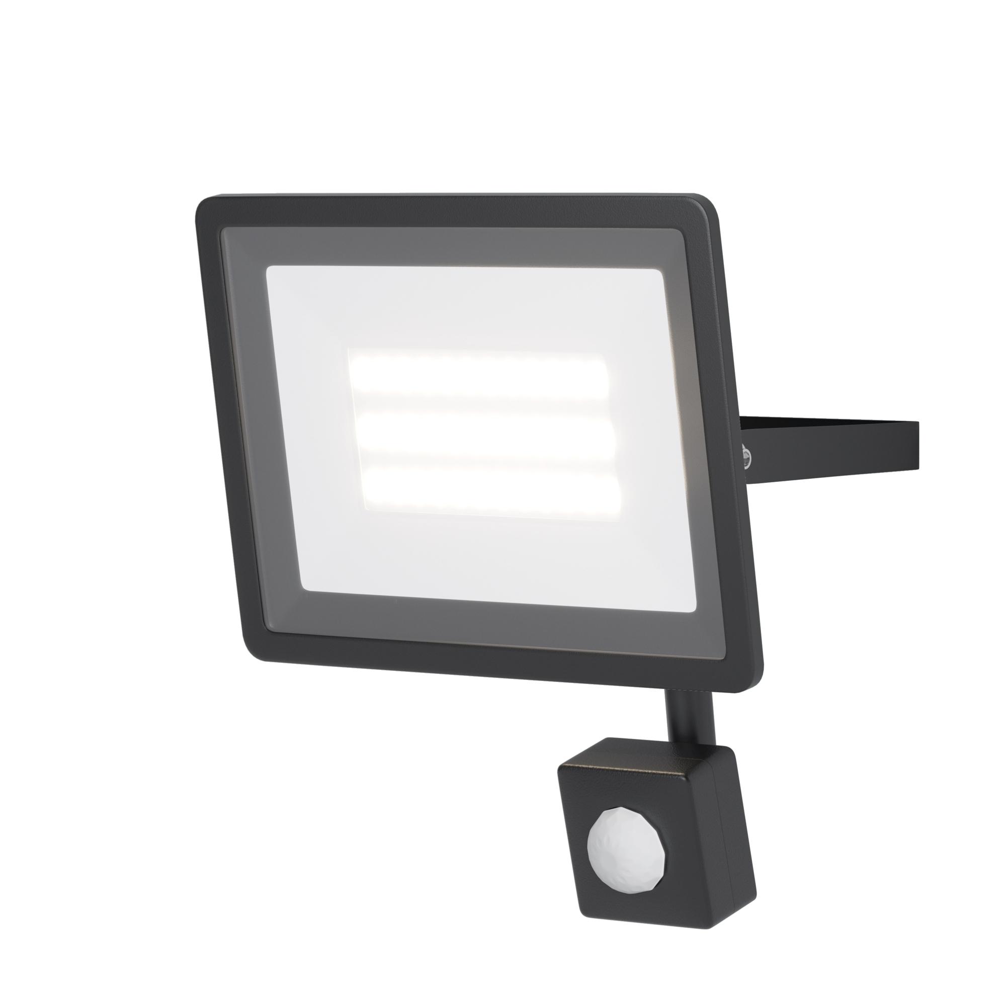 Прожектор Outdoor Flood IP 65 LED 30W 6500 K черный