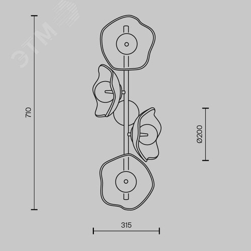 Светильник настенный (бра) Maytoni MOD207WL-04BS Латунь - фото 8