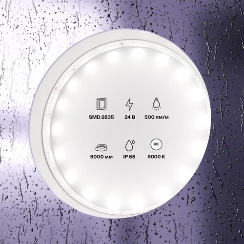 Лента светодиодная 24В 2835 4,8Вт/м 6000K 5м IP65 - фото 2
