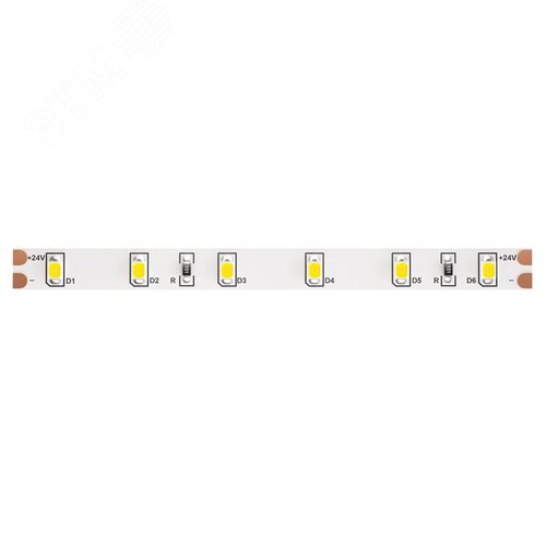 Лента светодиодная 24В 2835 4,8Вт/м 6000K 5м IP20 - фото 1