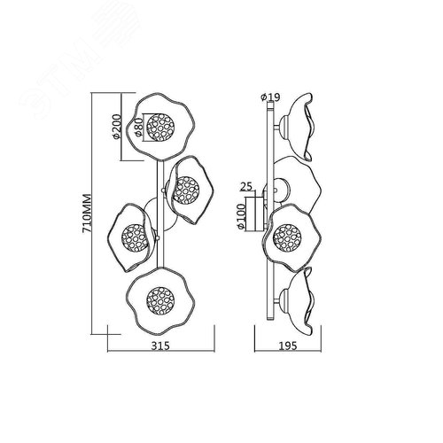 Светильник настенный (бра) Maytoni MOD207WL-04BS Латунь - фото 3