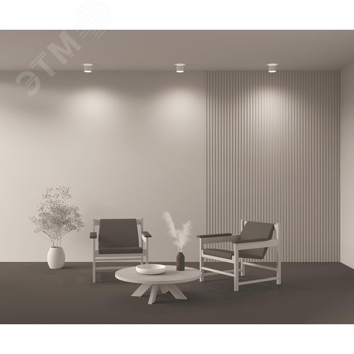 Светильник потолочный Planet LED 12W Белый - фото 3