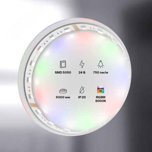 Лента светодиодная 24В 5050 19,2Вт/м RGBW 6000K 5м IP20 - фото 2