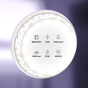 Лента светодиодная 24В 5050 28,8Вт/м 6000K 5м IP20 15мм - фото 2
