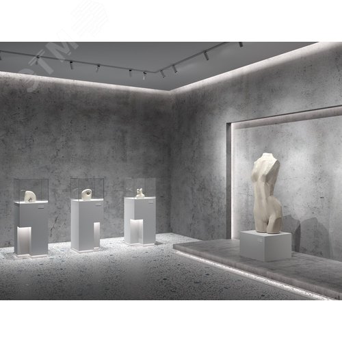 Лента светодиодная 12В 5050 7,2Вт/м 6000K 5м IP20 - фото 3