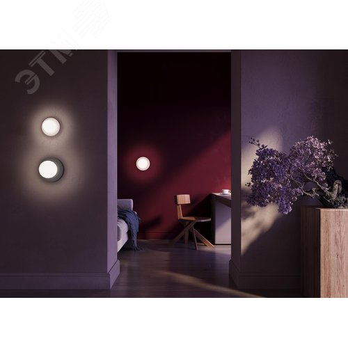 Светильник настенный (бра) Careless G9x1 - фото 3