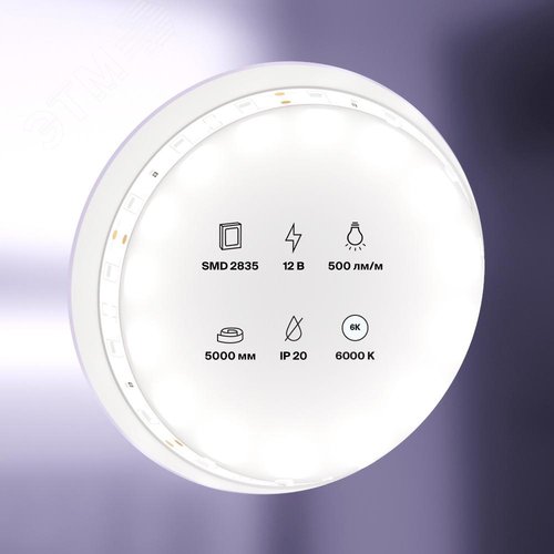 Лента светодиодная 12В 2835 4,8Вт/м 6000K 5м IP20 - фото 2