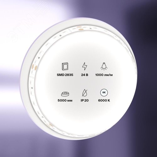 Лента светодиодная 24В 2835 9,6Вт/м 6000K 5м IP20 - фото 4