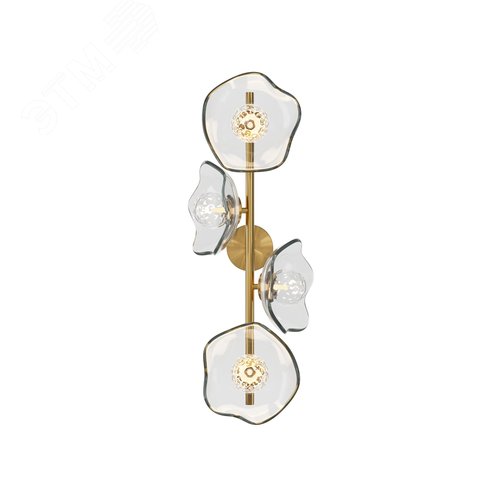 Светильник настенный (бра) Maytoni MOD207WL-04BS Латунь - фото 2