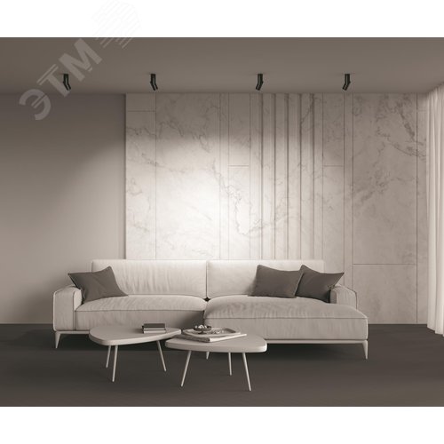 Светильник потолочный Technical C027CL-L10B Черный - фото 4