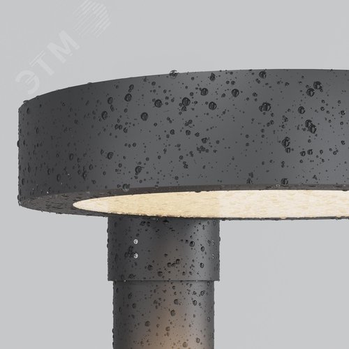 Светильник парковый Outdoor Dion IP 65 LED 50W 3000 K Графит - фото 5