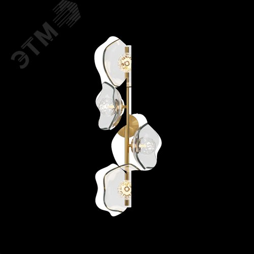 Светильник настенный (бра) Maytoni MOD207WL-04BS Латунь - фото 5