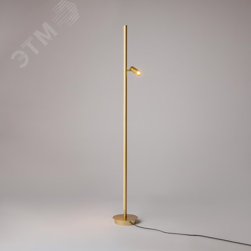 Светильник напольный (торшер) Thin LED 14W Латунь - фото 4