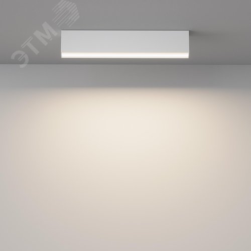 Светильник потолочный Basis LED 20W Белый - фото 3