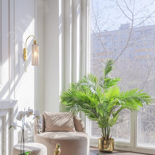 Светильник настенный (бра) Maytoni MOD302WL-01CG Золото - фото 6