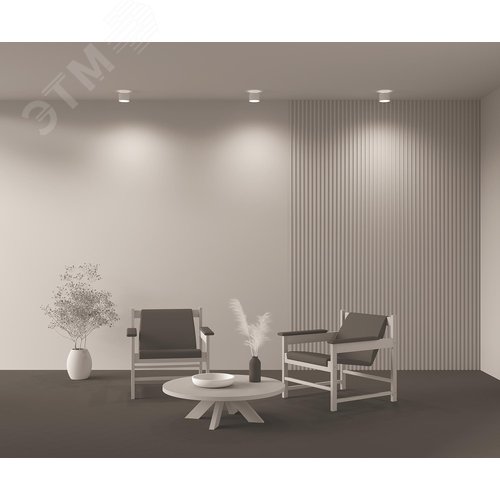 Светильник потолочный Planet LED 12W Белый - фото 4