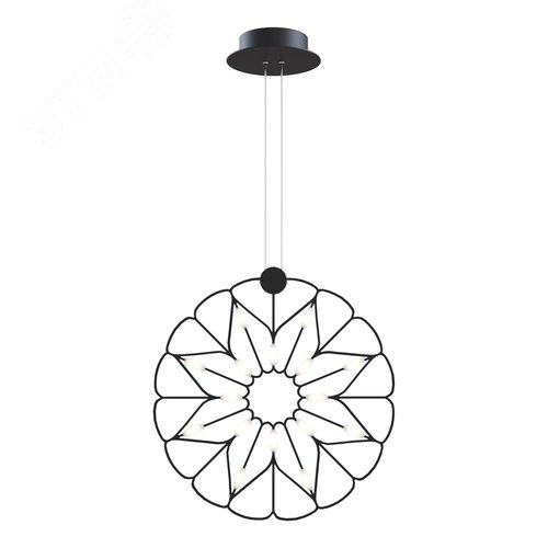 Светильник подвесной Maytoni MOD037PL-L16B Черный - фото 1