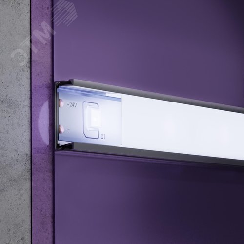 Лента светодиодная 24В 2835 4,8Вт/м 6000K 5м IP20 - фото 4