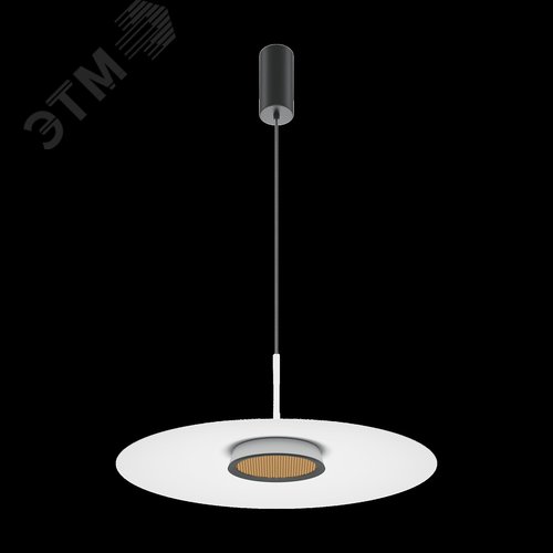 Светильник подвесной El LED 12W Черный - фото 4