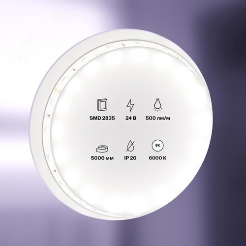 Лента светодиодная 24В 2835 4,8Вт/м 6000K 5м IP20 - фото 2