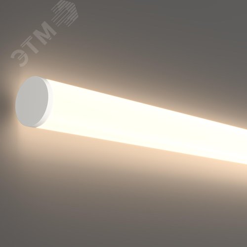 Неон гибкий LNM-D18-24V-14,4W-4K-R-IP65 201147 - фото 2