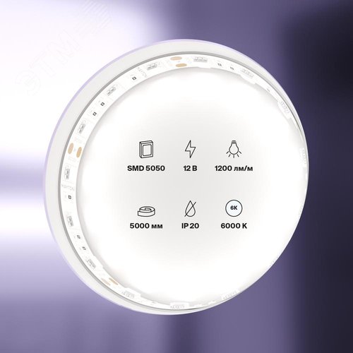 Лента светодиодная 12В 5050 14,4Вт/м 6000K 5м IP20 - фото 2