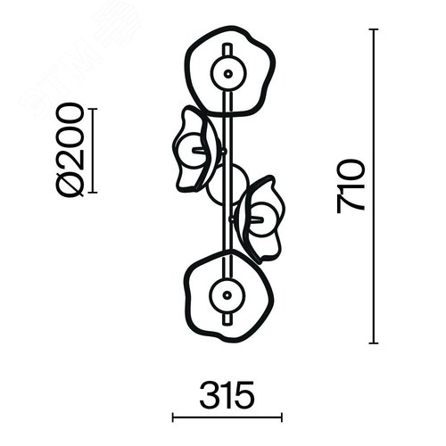 Светильник настенный (бра) Maytoni MOD207WL-04BS Латунь - фото 4