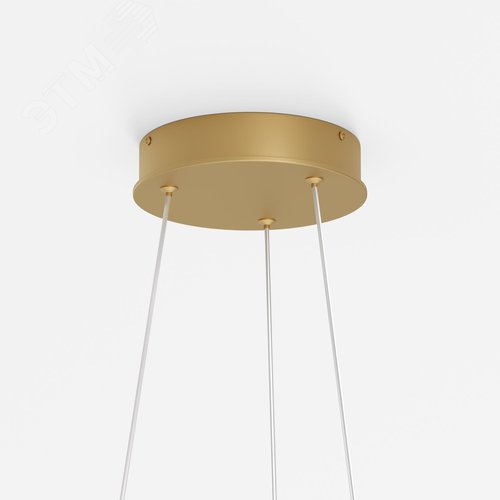 Светильник подвесной Maytoni MOD058PL-L65BSK Латунь - фото 5