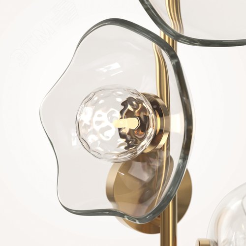 Светильник настенный (бра) Maytoni MOD207WL-04BS Латунь - фото 6