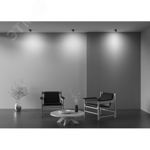 Светильник встраиваемый Onda DL024-12W3K-BMG Черный - фото 7